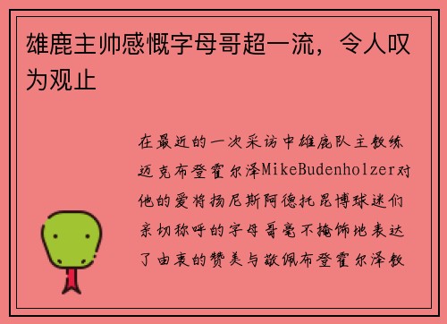 雄鹿主帅感慨字母哥超一流，令人叹为观止